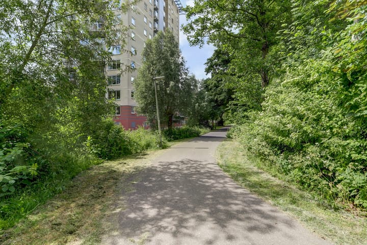 Foto 43 van Goudenregenplein 254