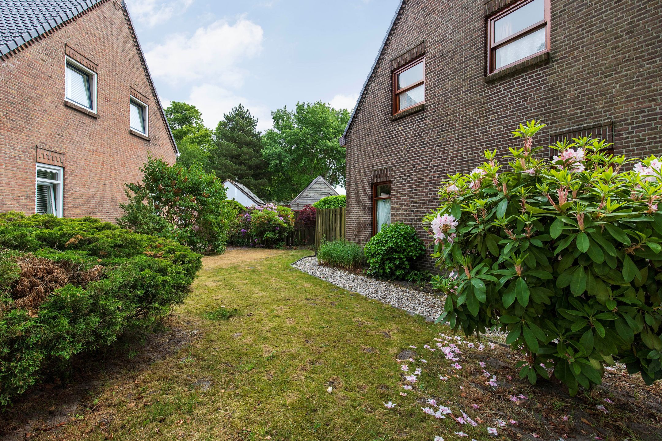 Foto 27 van Loolaan 4