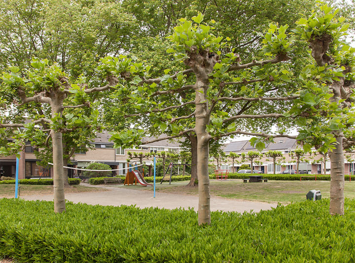 Foto 36 van Laurierhof 79