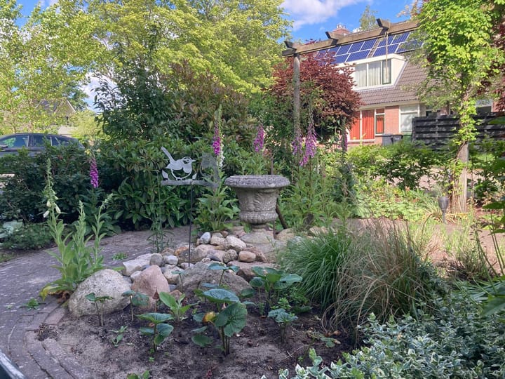 Foto 45 van Delmer 16