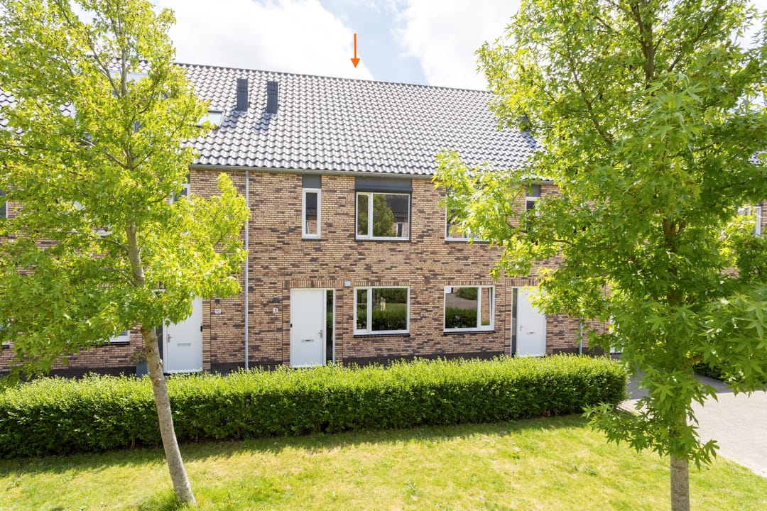 Foto 1 van Sneekermeerplantsoen 8