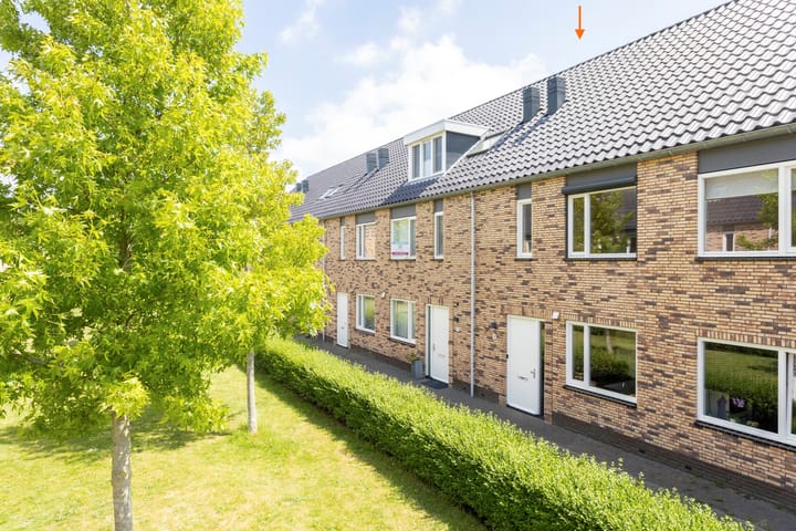 Foto 2 van Sneekermeerplantsoen 8