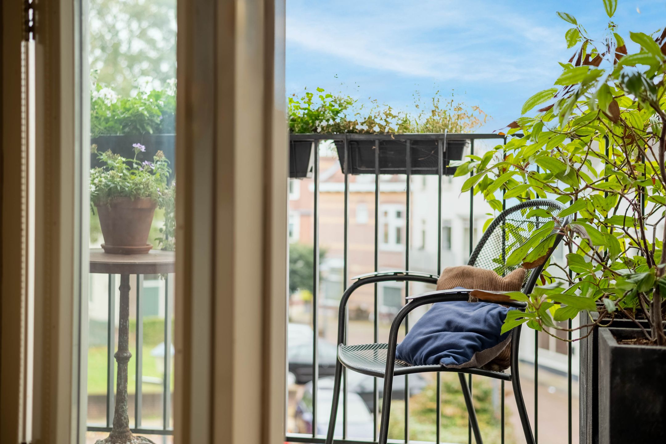 Foto 9 van Zwaanswal 14