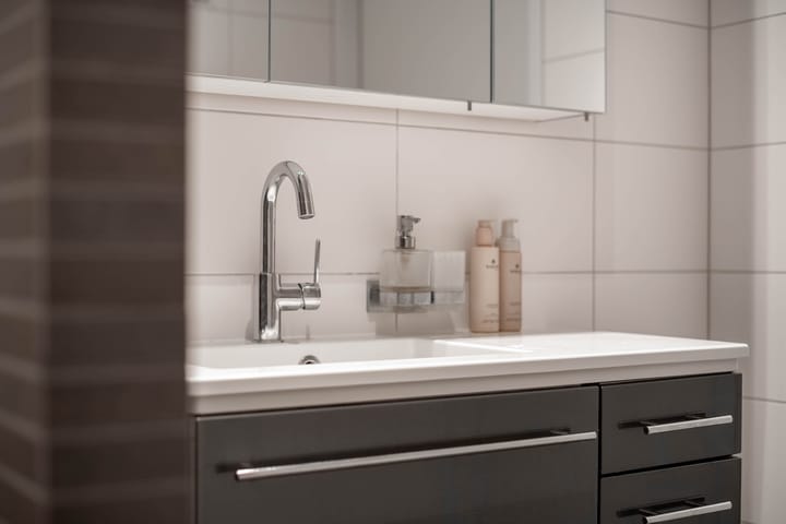 Foto 13 van Zwaanswal 14