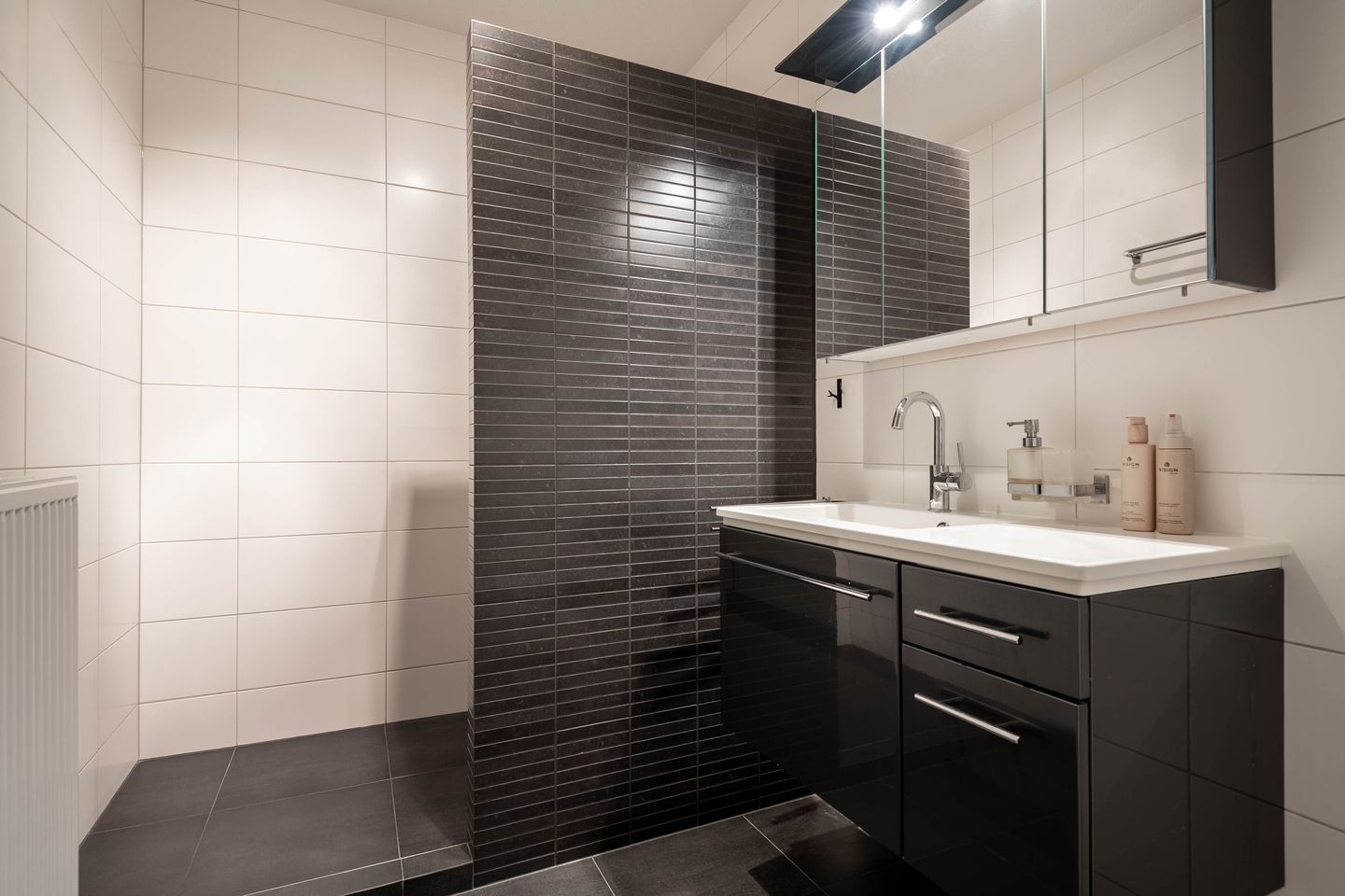 Foto 14 van Zwaanswal 14