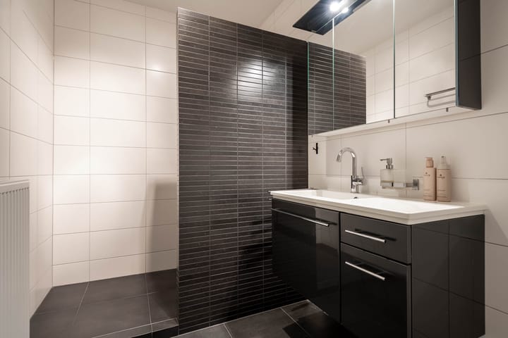 Foto 14 van Zwaanswal 14