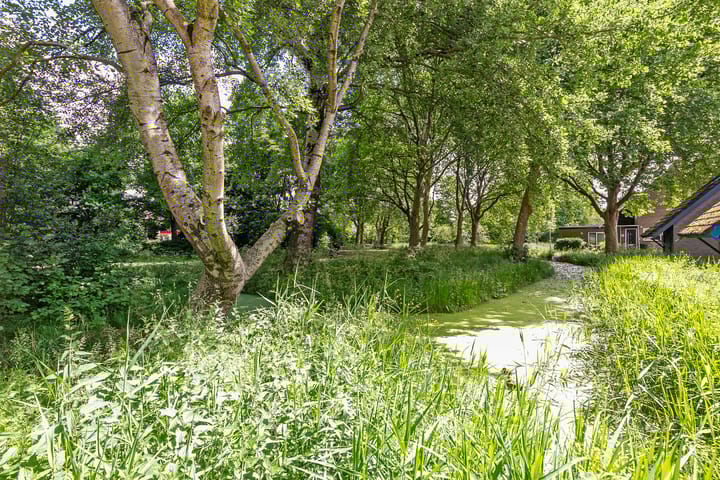 Foto 23 van Wingerdpark 76