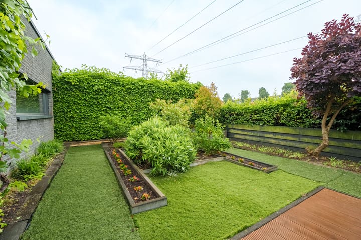 Foto 29 van Willem Elsschothove 55