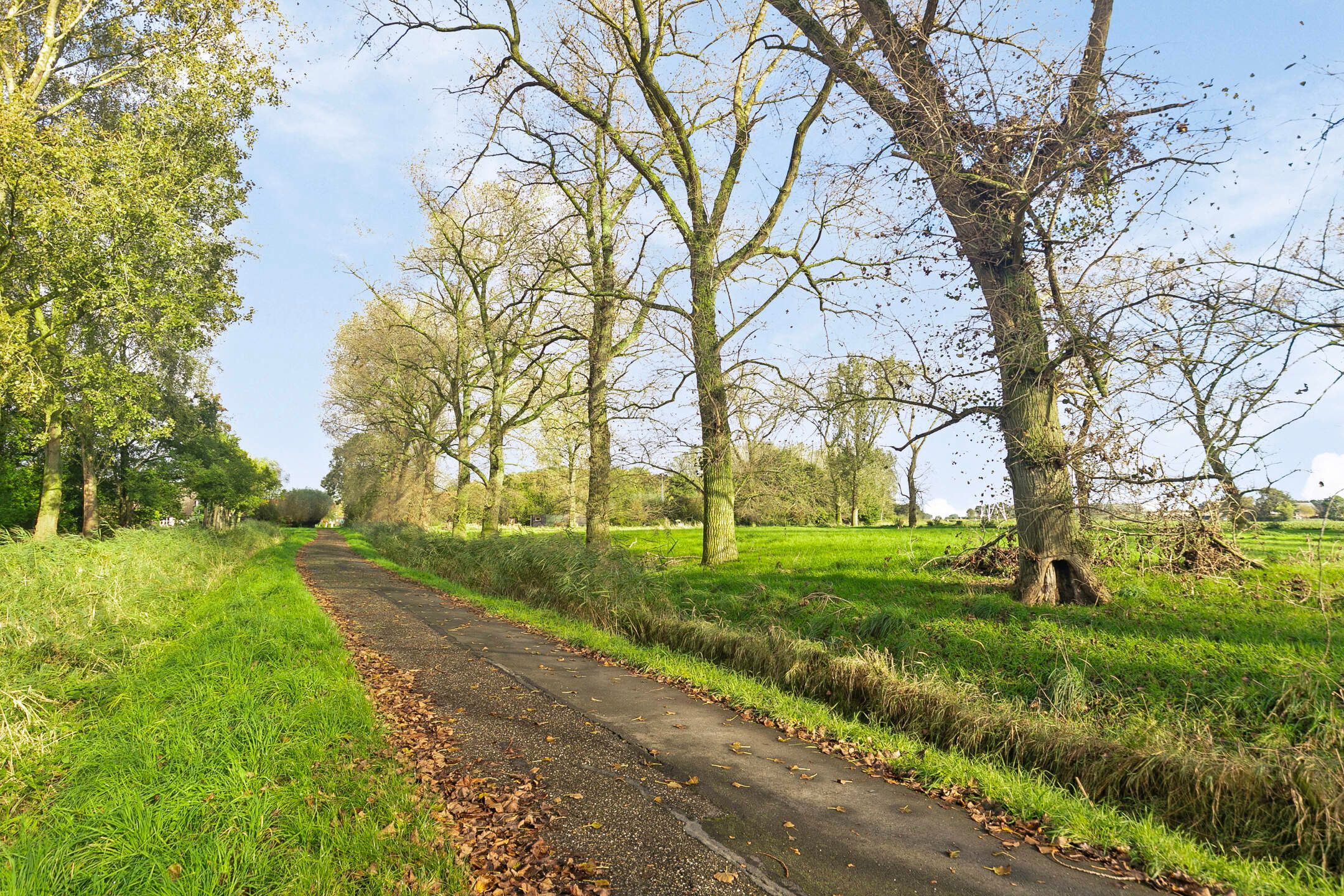 Foto 9 van Joosstraat 11