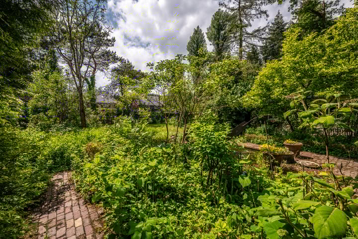 Foto 46 van Driebergsestraatweg 39