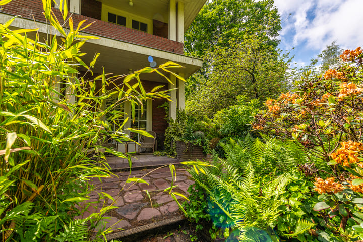 Foto 55 van Driebergsestraatweg 39