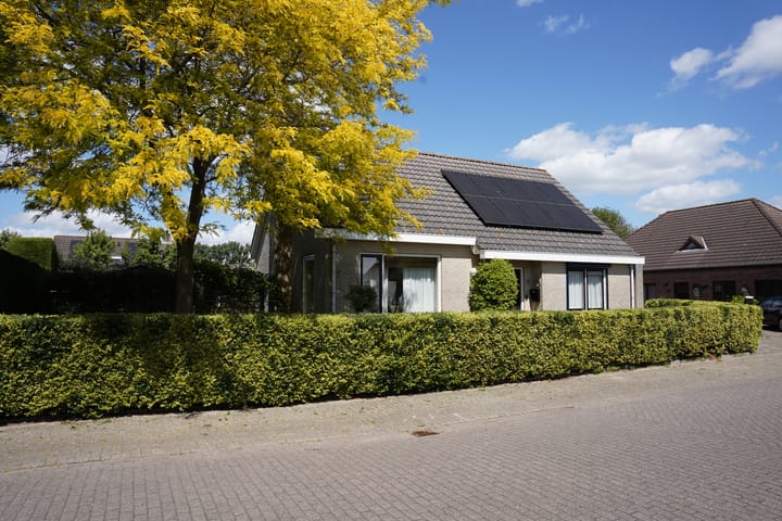 Foto 44 van Galjoen 22