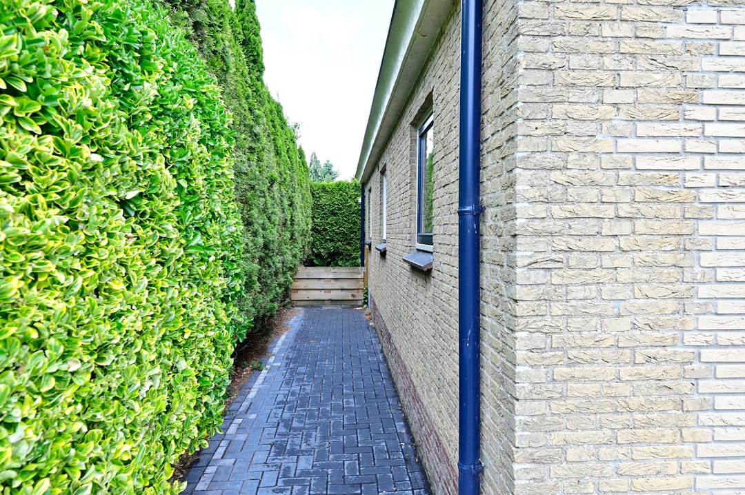 Foto 22 van Sint Lucasstraat 10