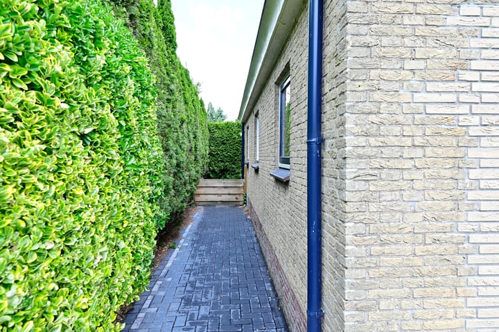 Foto 22 van Sint Lucasstraat 10