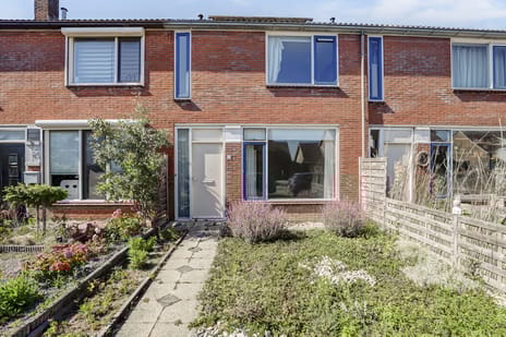 undefined main image