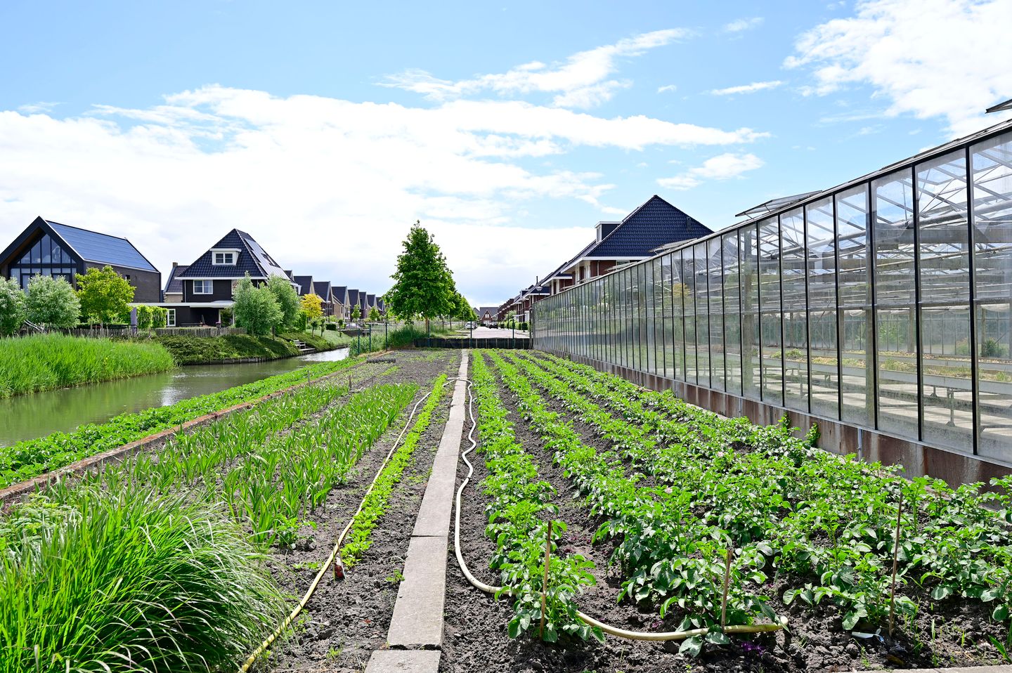 Foto 29 van Dorpsstraat 316