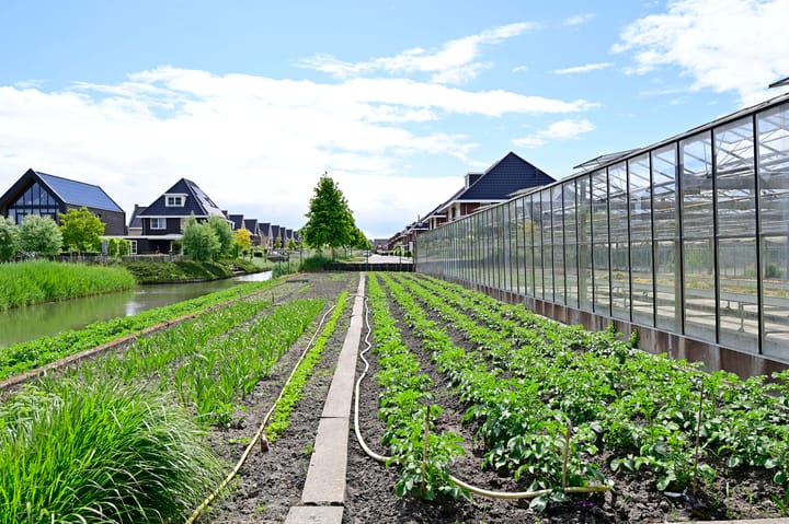 Photo 29 of Dorpsstraat 316