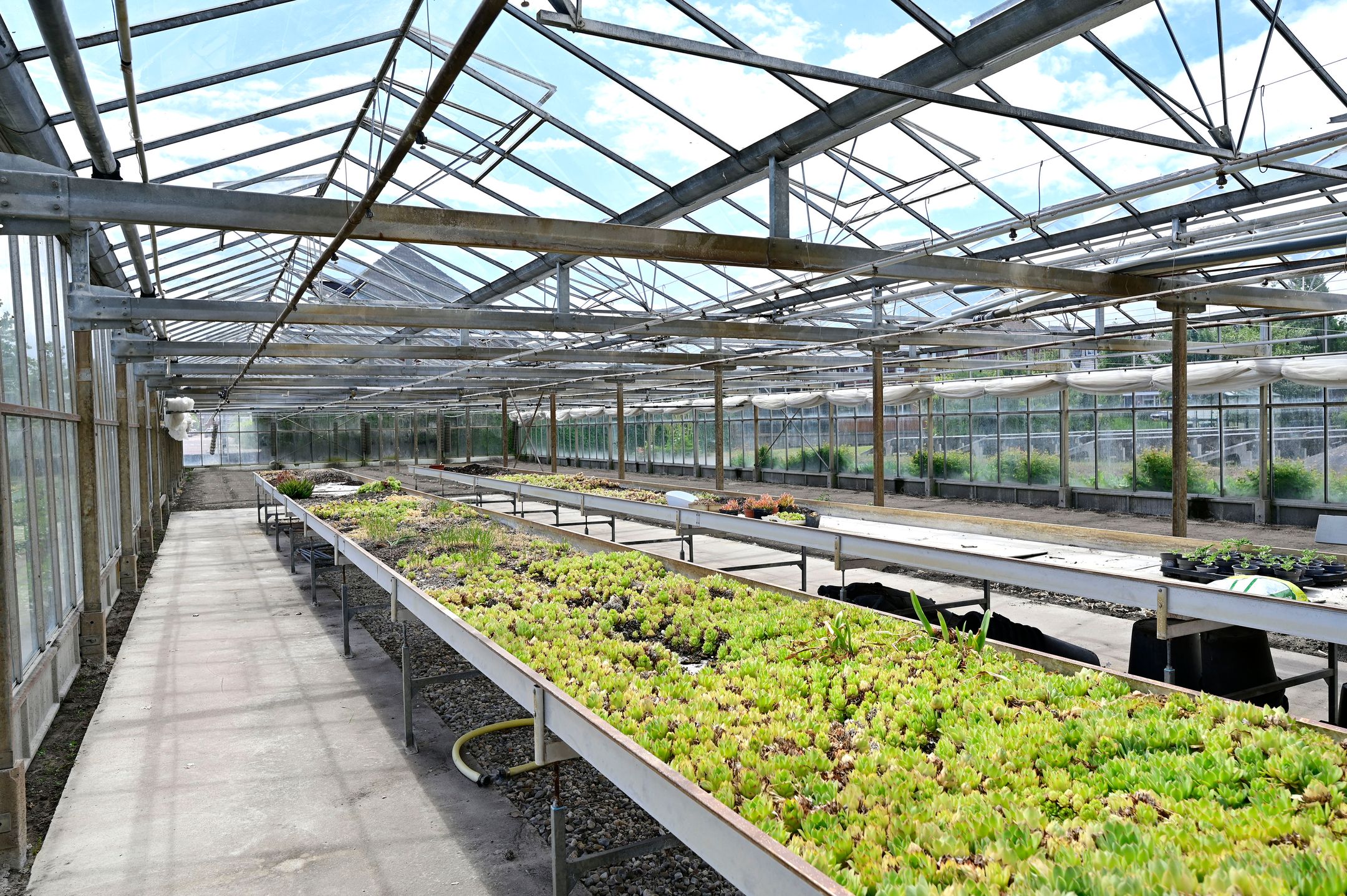 Foto 30 van Dorpsstraat 316