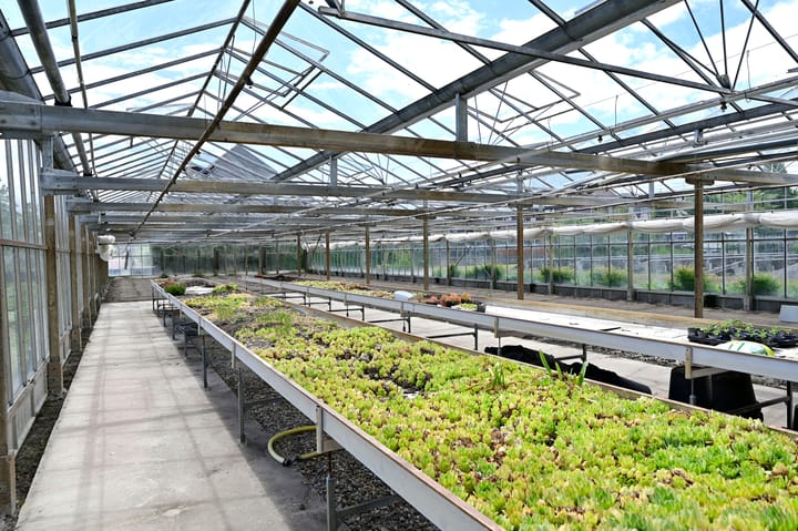 Photo 30 of Dorpsstraat 316