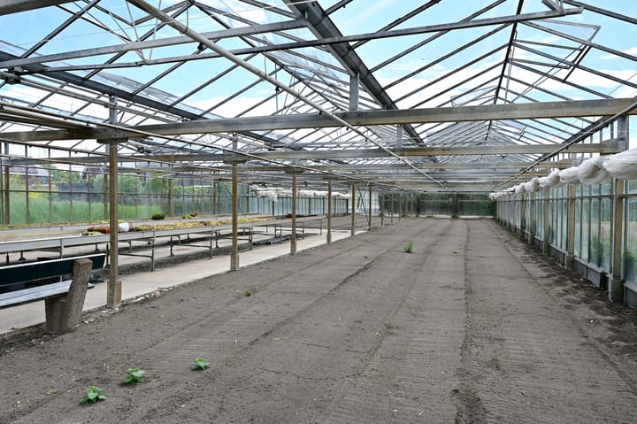 Photo 31 of Dorpsstraat 316