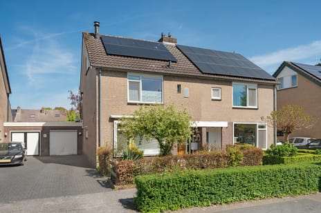 undefined main image