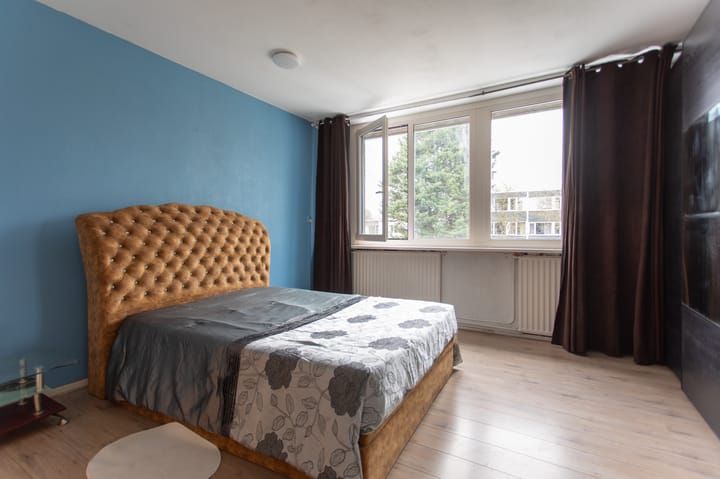 Foto 19 van Moggendries 27