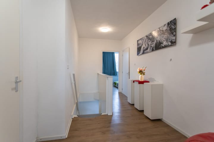 Foto 28 van Moggendries 27