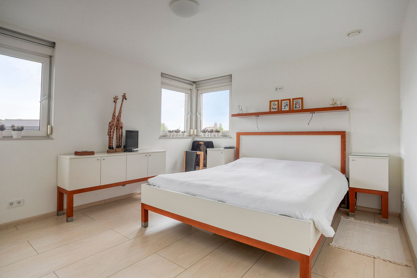 Foto 29 van Molenheidseweg 12