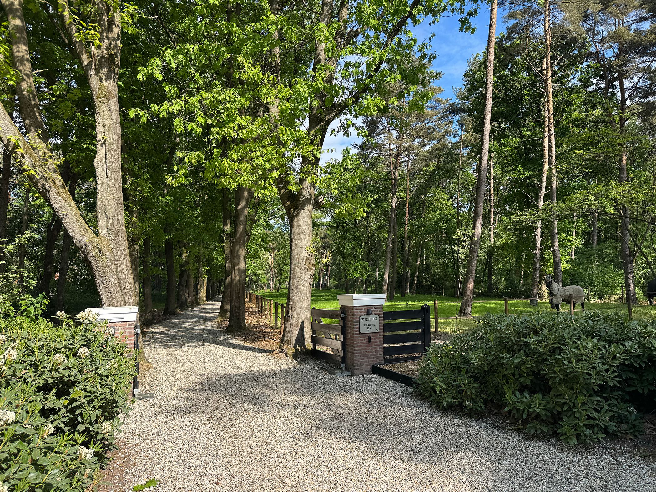 Foto 12 van Klaterweg 54