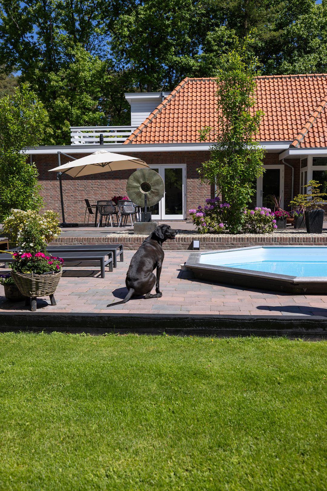 Foto 53 van Klaterweg 54