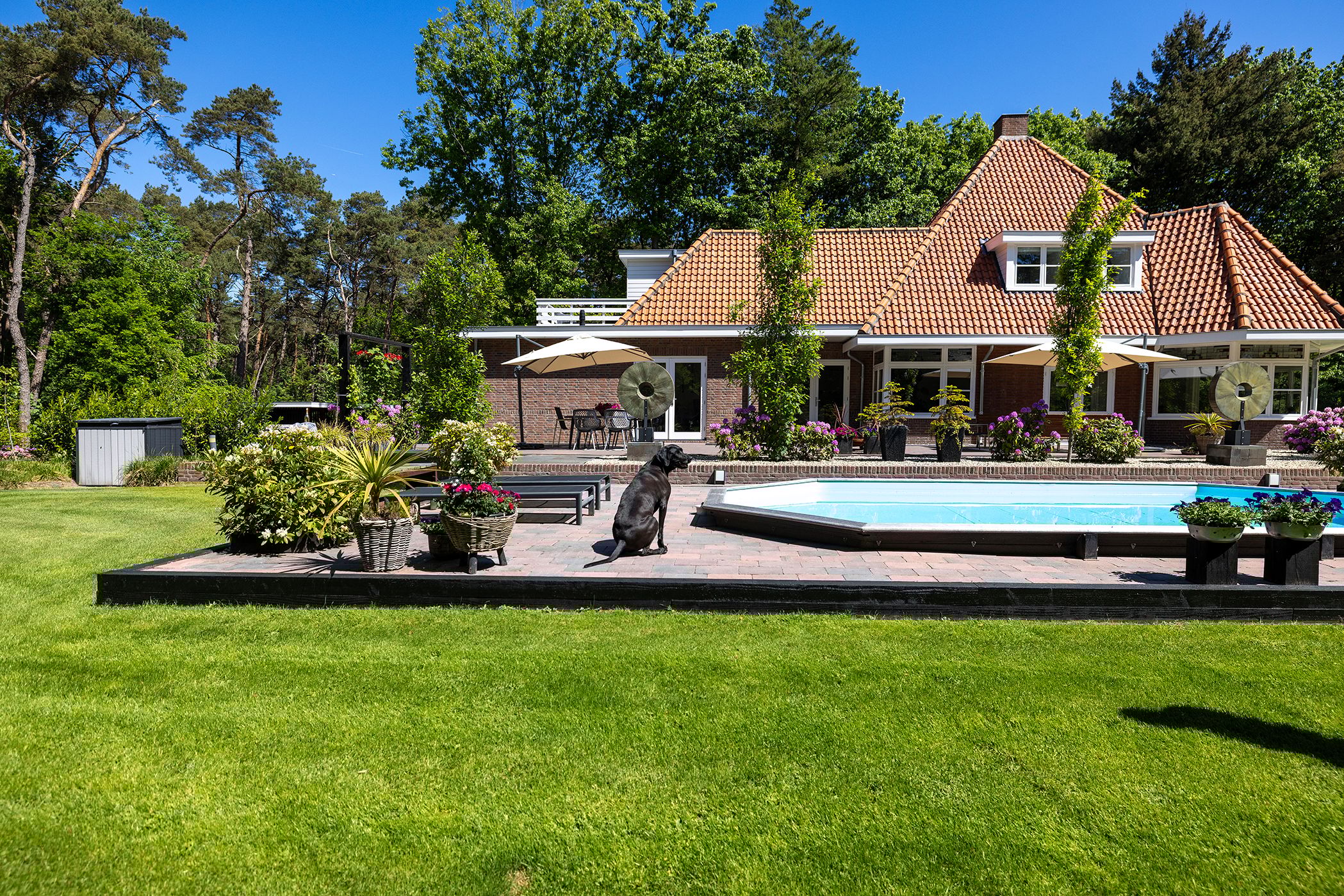 Foto 54 van Klaterweg 54