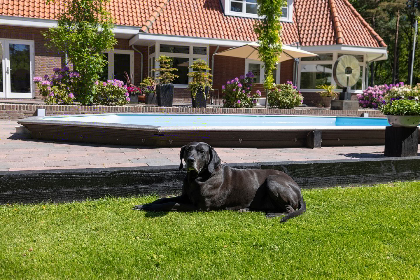 Foto 55 van Klaterweg 54