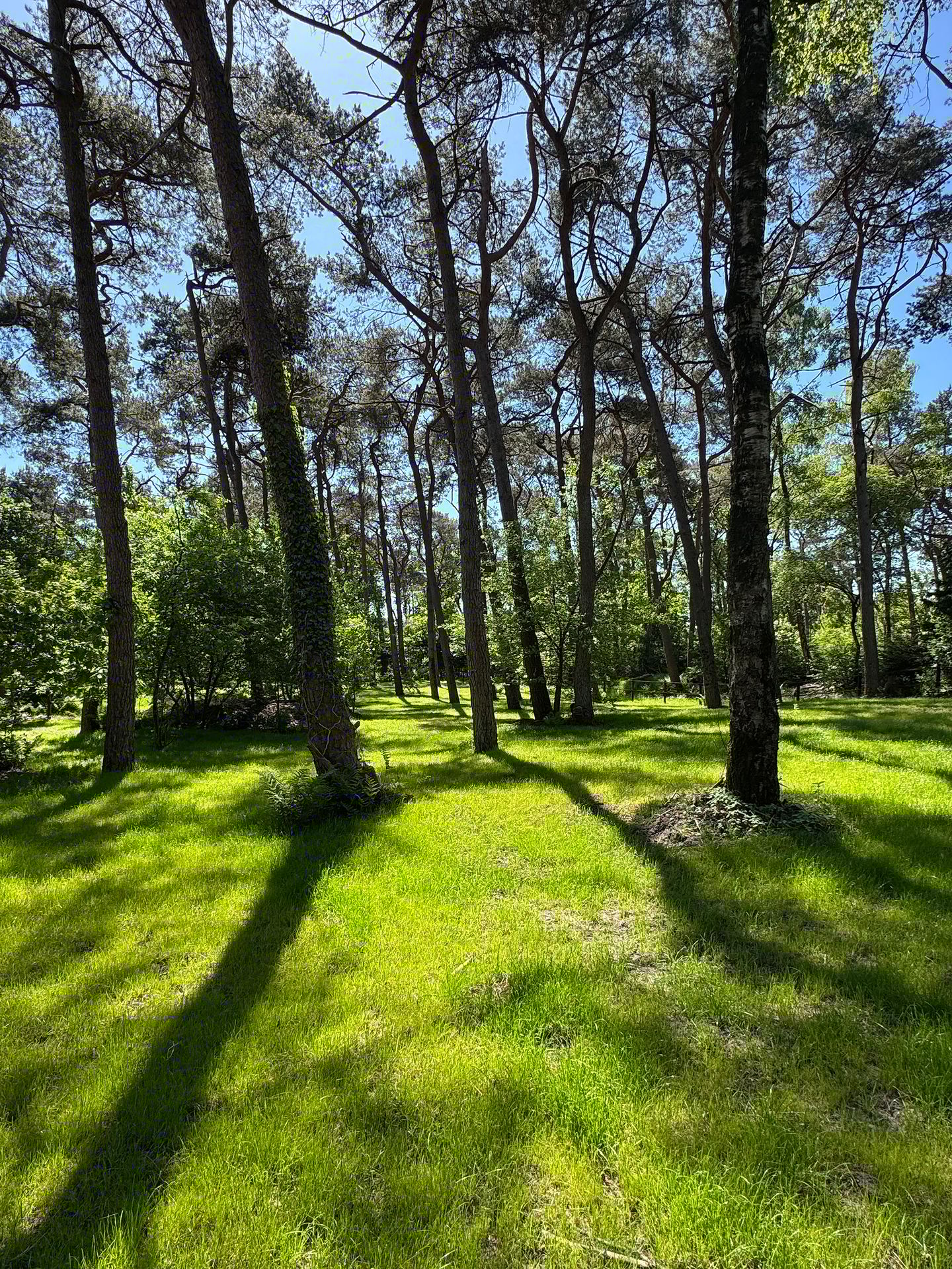 Foto 65 van Klaterweg 54