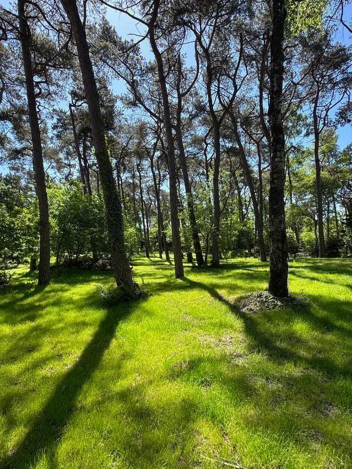 Foto 65 van Klaterweg 54