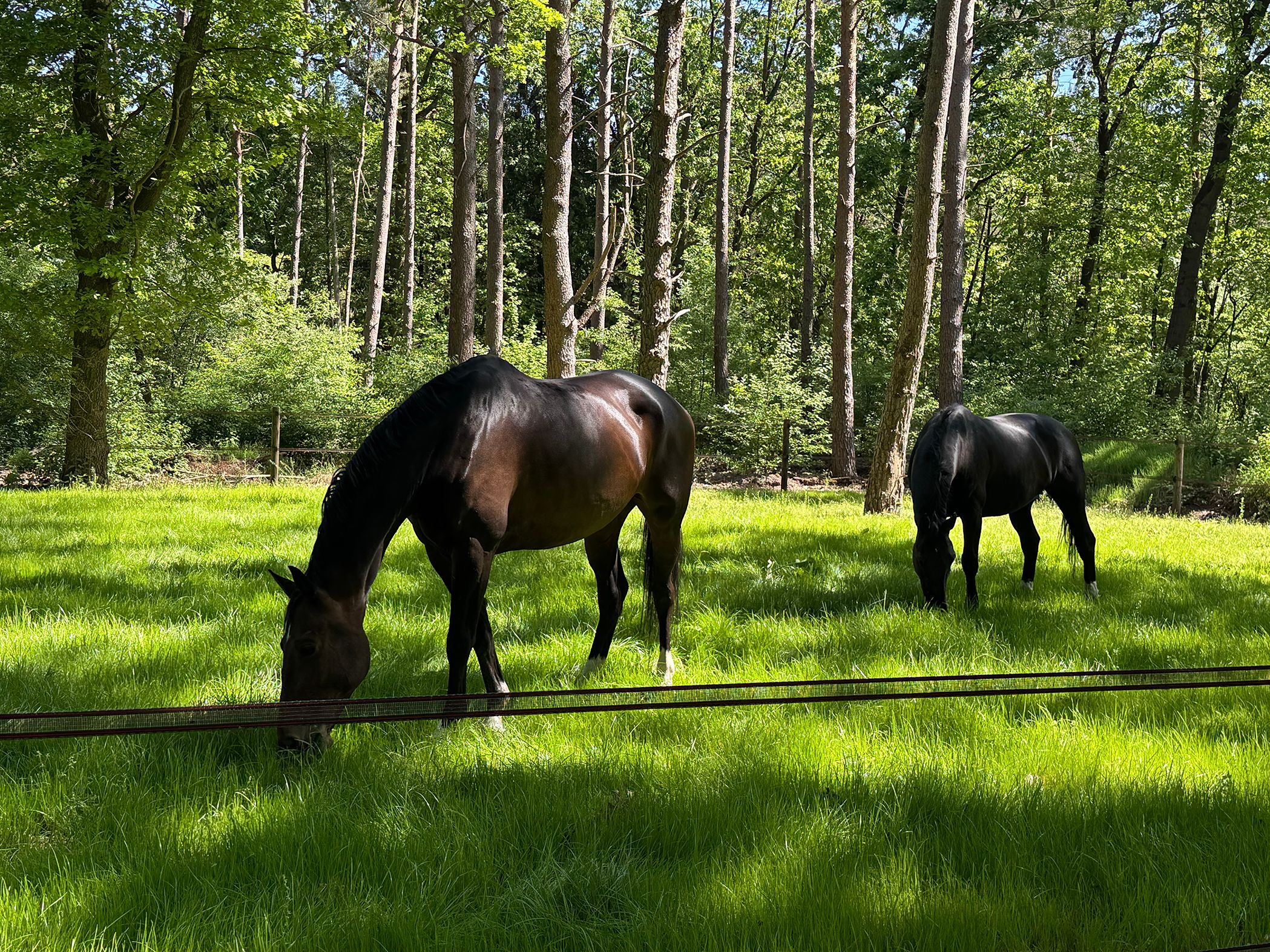 Foto 66 van Klaterweg 54