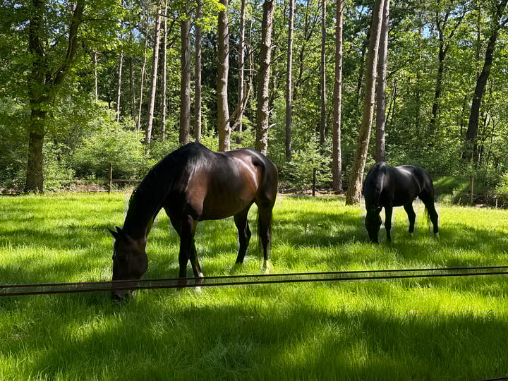 Foto 66 van Klaterweg 54