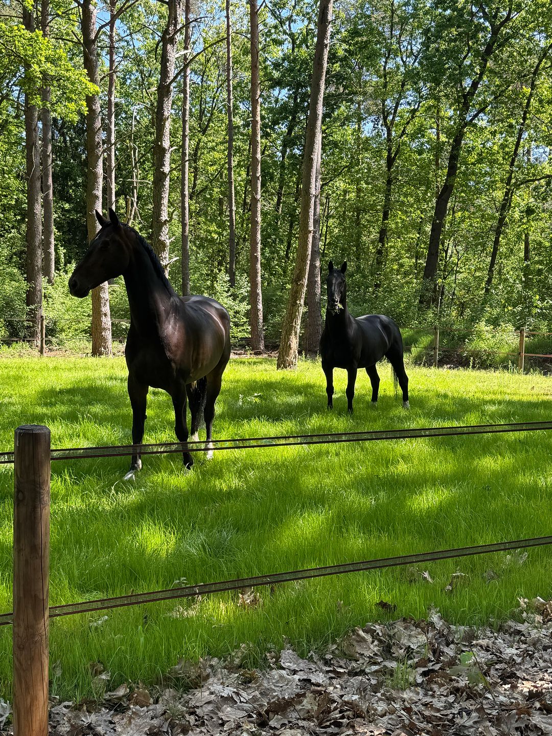 Foto 67 van Klaterweg 54