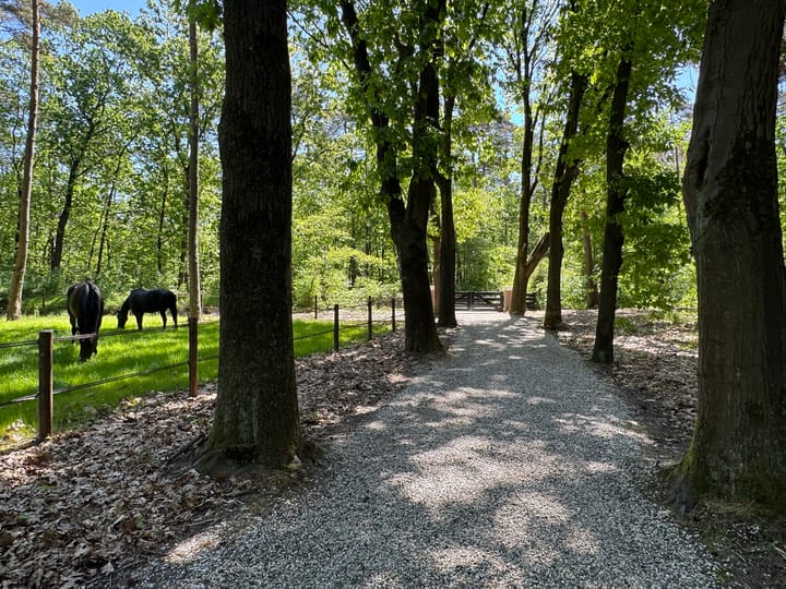 Foto 68 van Klaterweg 54