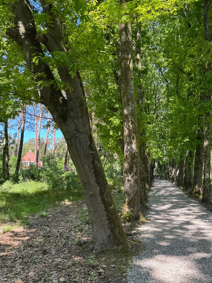 Foto 69 van Klaterweg 54