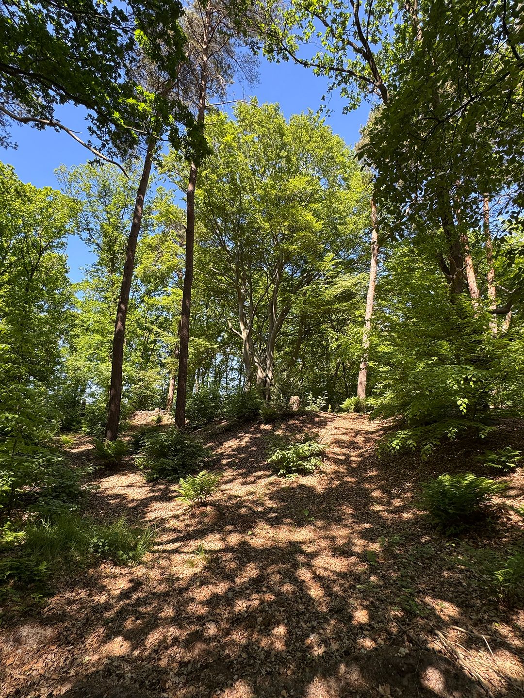 Foto 71 van Klaterweg 54