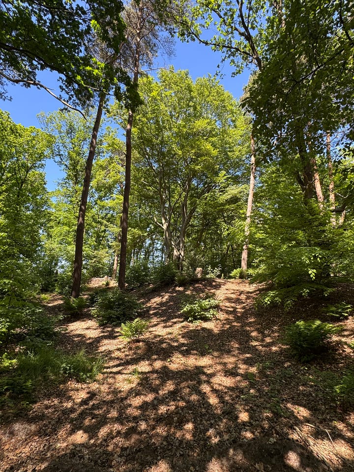 Foto 71 van Klaterweg 54