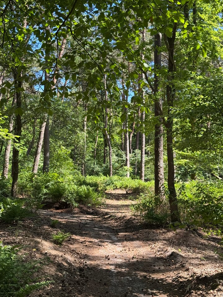 Foto 72 van Klaterweg 54