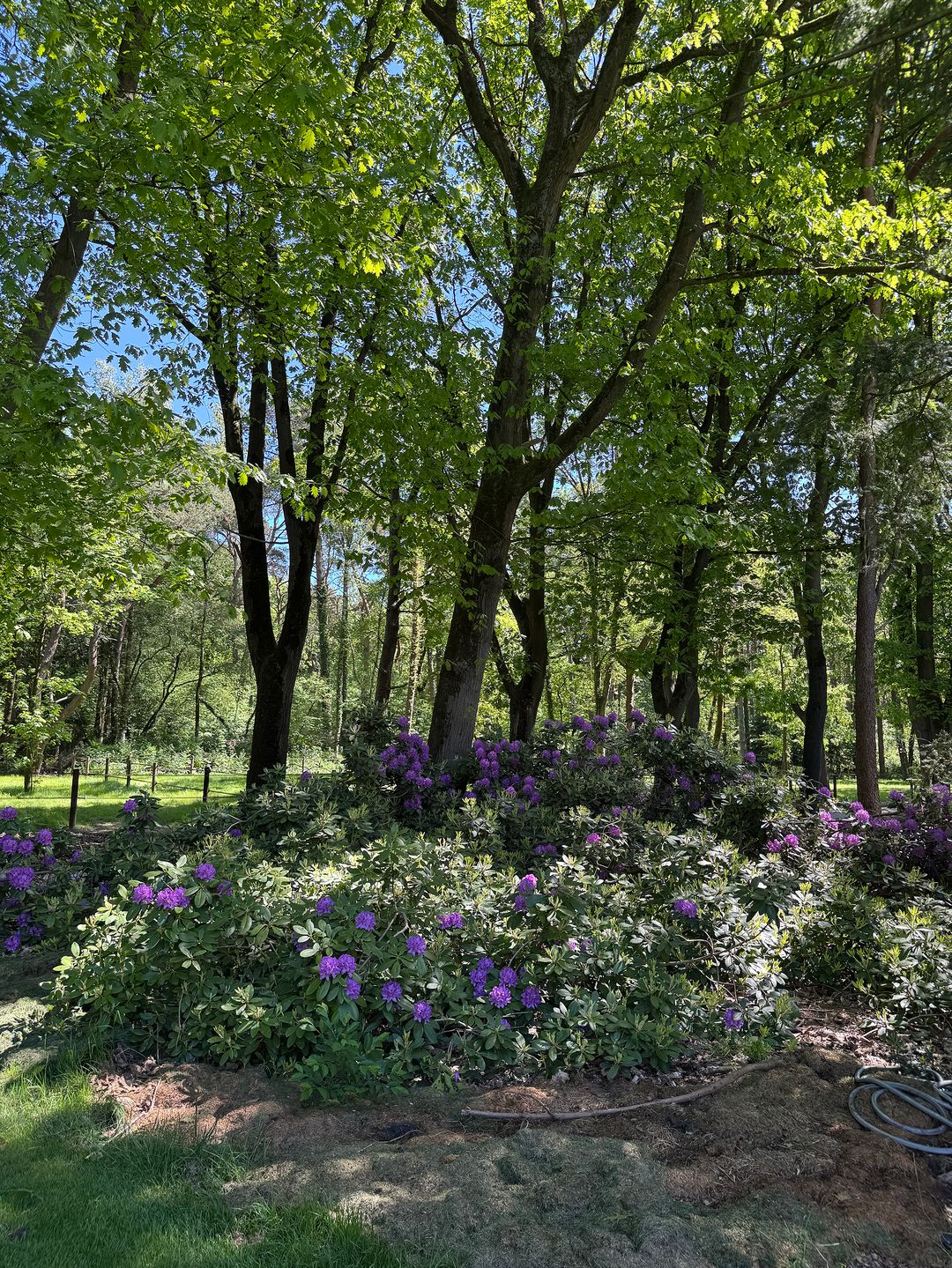 Foto 73 van Klaterweg 54