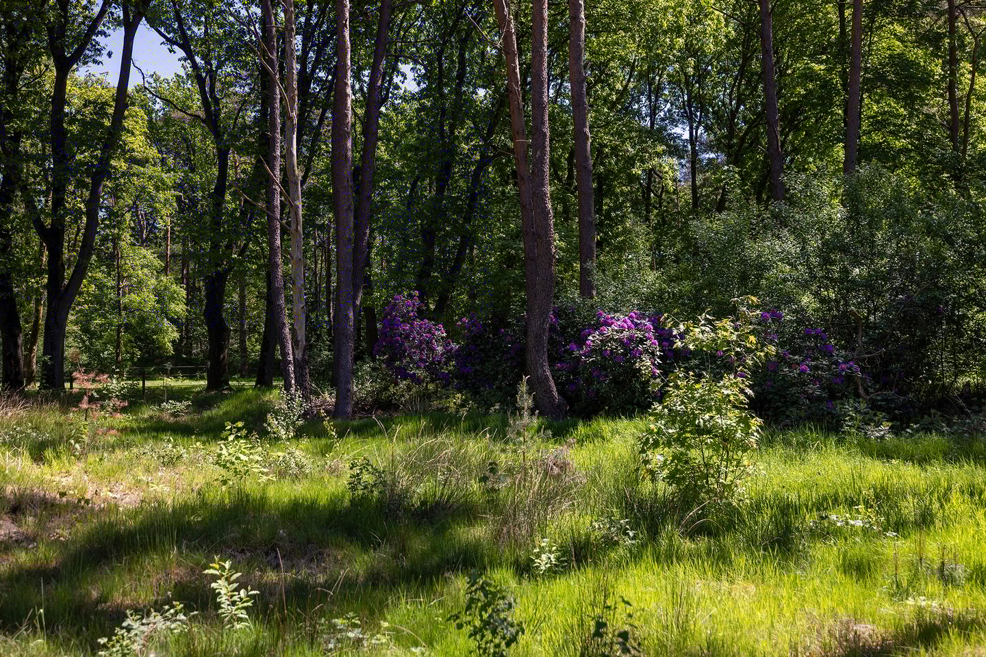 Foto 74 van Klaterweg 54