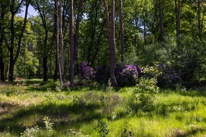 Foto 74 van Klaterweg 54