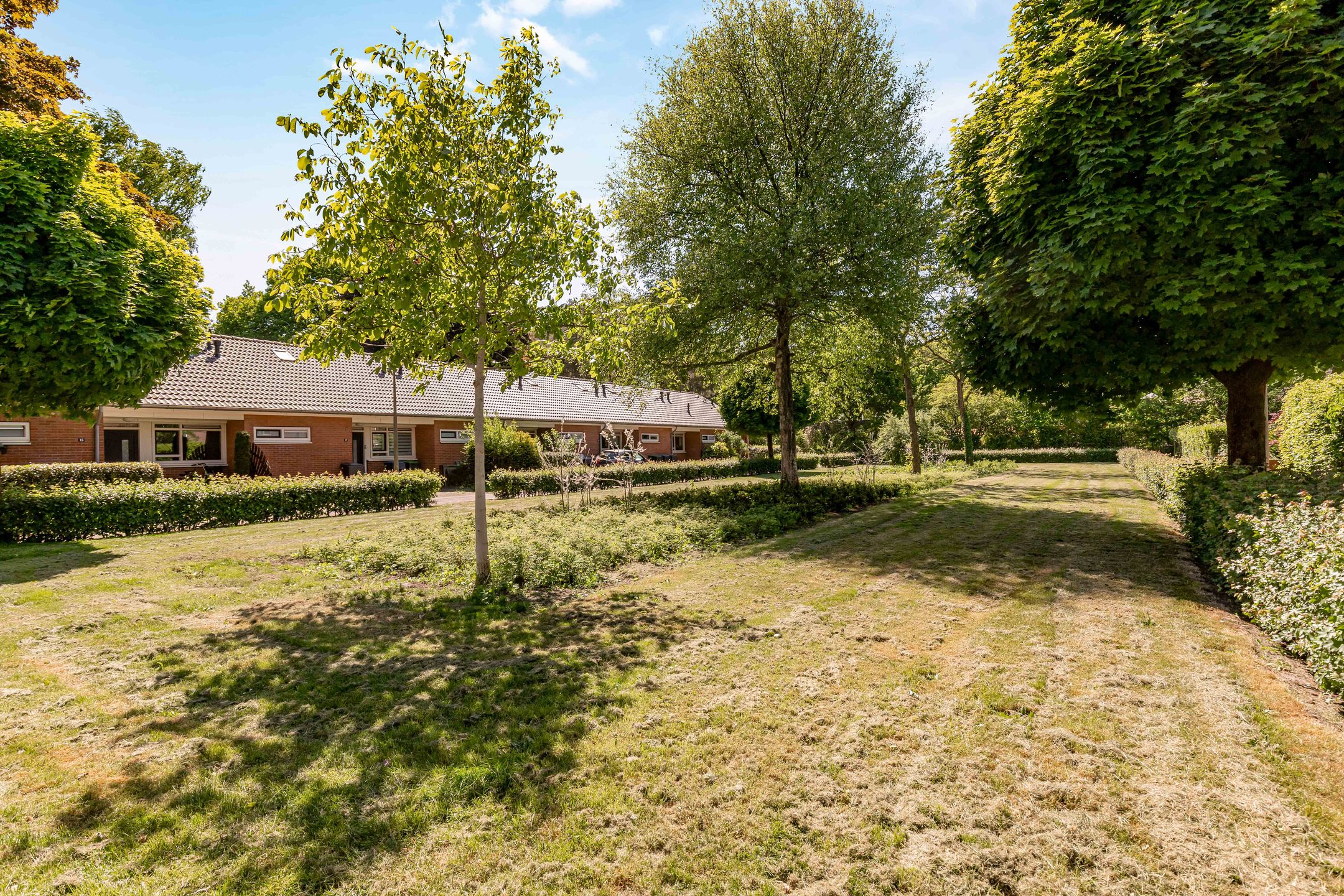 Foto 54 van Van Hallstraat 32