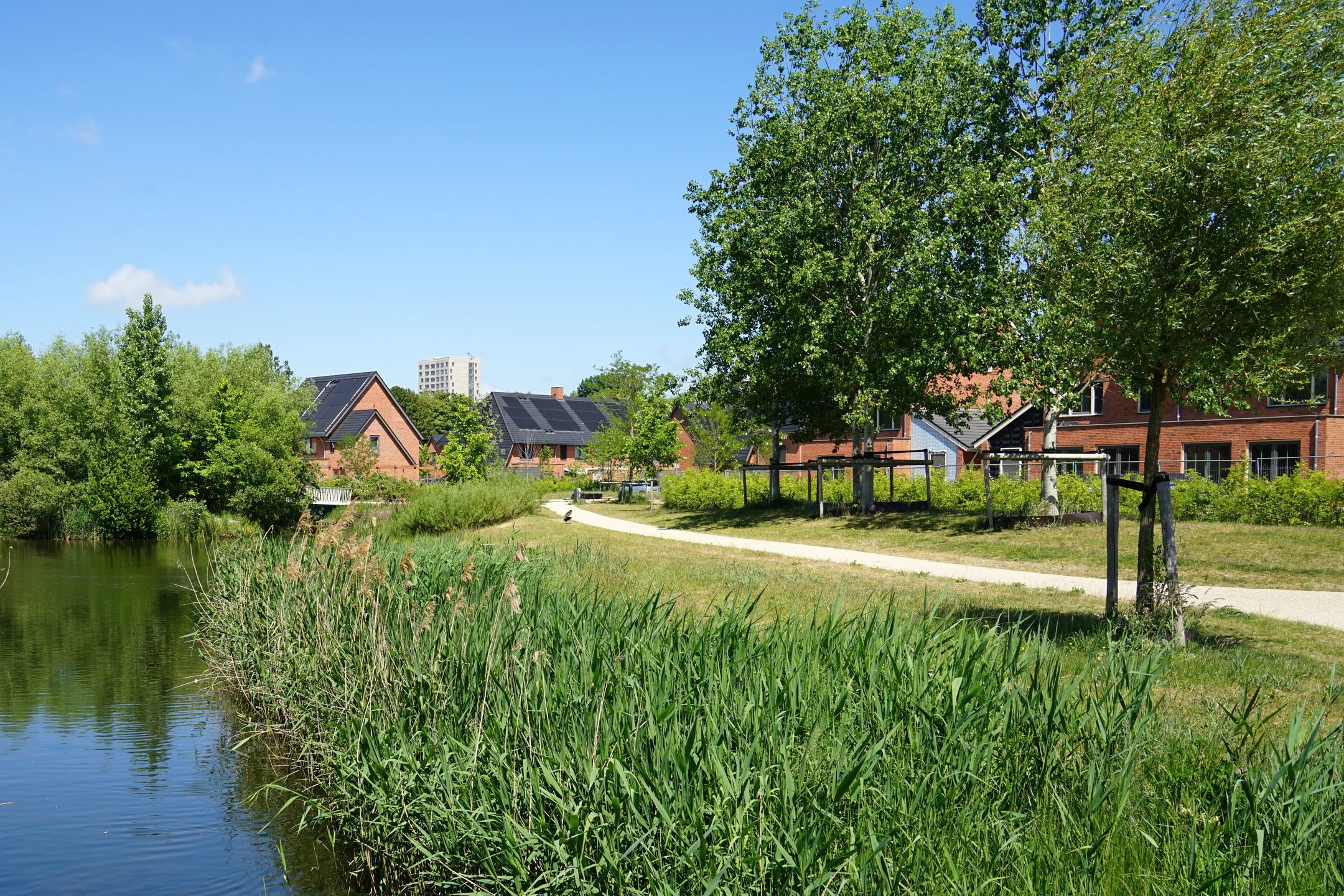 Foto 9 van Bakemastraat 220