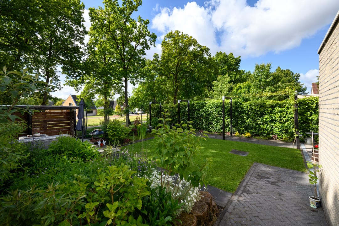 Foto 31 van Rietpol 8