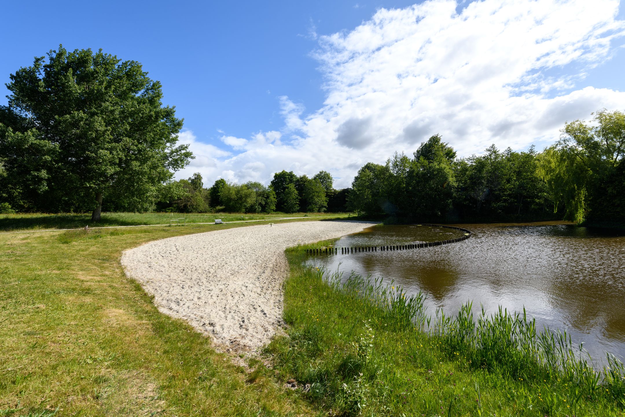 Foto 51 van Rietpol 8