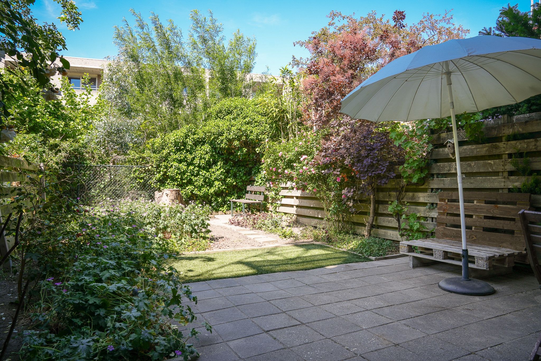 Photo 18 of Hondsrug 249